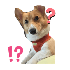 米妮和老爸的生活