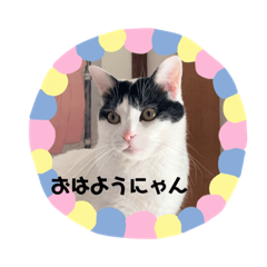 Tono_20200205135024