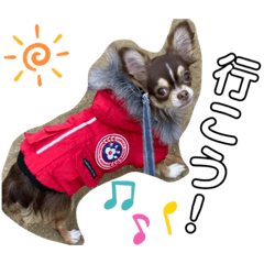 ARISA_20200205184553