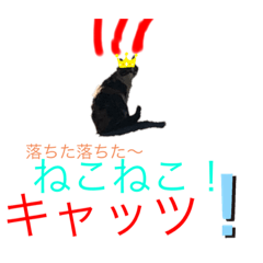 Kazuki_20200205174859