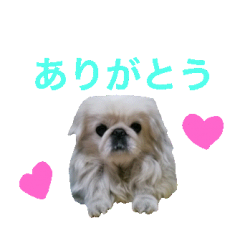 reiko20200206