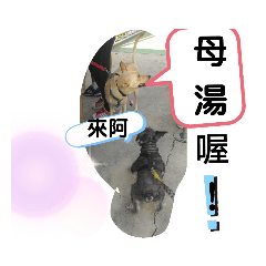 母湯喔!