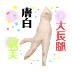 顏值爆表的加菲