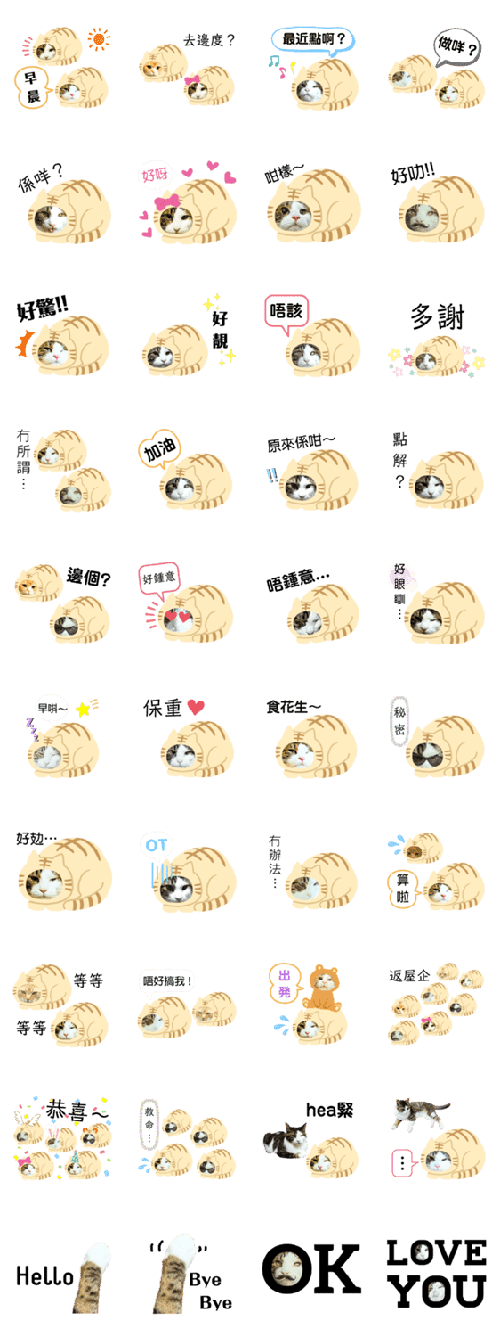 猫のタビッチ 猫着ぐるみ猫 広東語 Lineクリエイターズスタンプ Stamplist