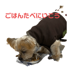 junko_20200206131701