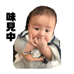 panda_20200206162300