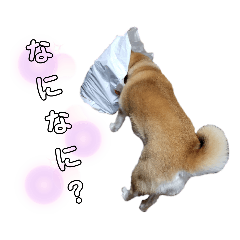 kayo_20200206200118
