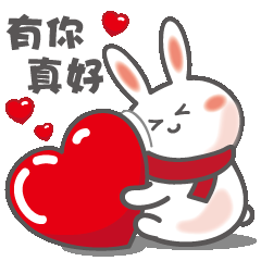 Ko Usagi❤療癒的米兔-生活用語篇