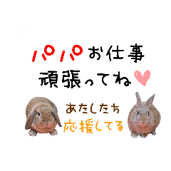 うちの子シリーズ『ルル&ココ』