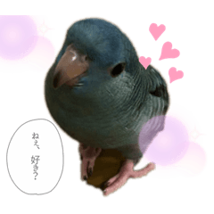 hana_20200206231440