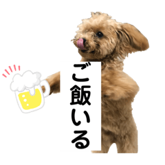 rina_20200206235520