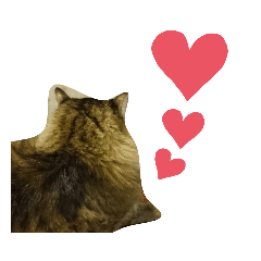 yamada_20200207024807