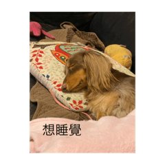 愛哭鬼寶寶