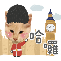 屁屁瘦瘦的軟爛貓生