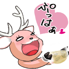 Hokkaido Shika Deer born in Shiretoko