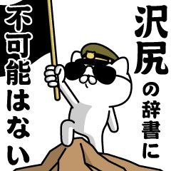 "SAWAJIRI"name/Military cat