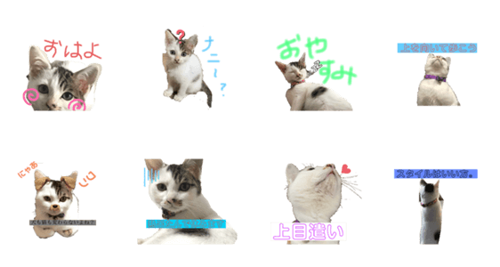 もんもんのねこ てん Lineクリエイターズスタンプ Stamplist