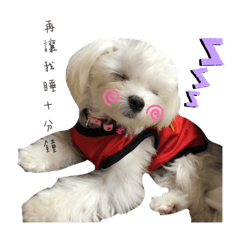 偶4肥肥肥肥肥肥