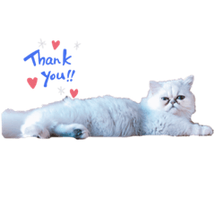 so_20200207172535