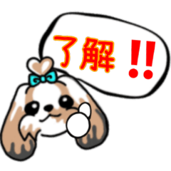 ShihTzu Daily Sticker(Japanese version)