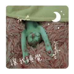 我4蛋黃，蛋黃4我