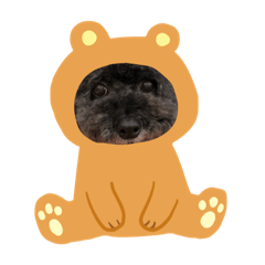 alice_20200207190509