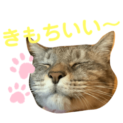 Mizuki_20200207202715