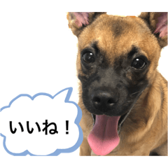 kurumi_20200207222137