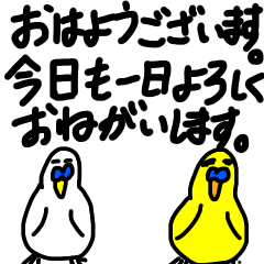 インコのみどぴーたちの丁寧な言葉