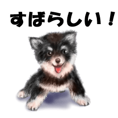 リアルかわいい子犬（日本語バージョン）