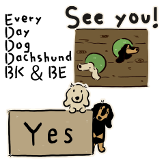 Every Day Dog Dachshund BK & BE