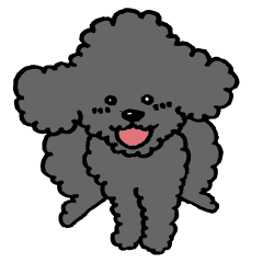 黒いプードル こすもの日常 Line スタンプ Line Store 黒いプードル こすもの日常 Line スタンプ Line Store