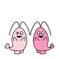 Sakura Shrimp Brothers