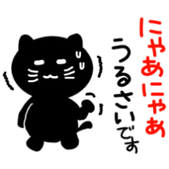 Cute black cat.