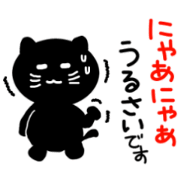 Cute black cat.