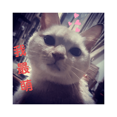 mimi最萌
