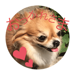 kanapochino2