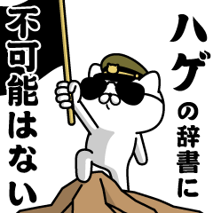 "HAGE"name-Military cat