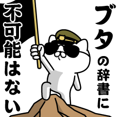 "BUTA"name/Military cat