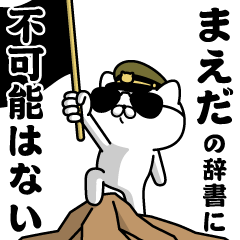 "MAEDA"name/Military cat