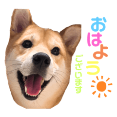 ann_20200207232220