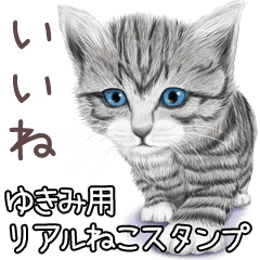 Yukimi Real pretty cats