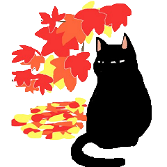 black cat ,,Bevel,,