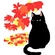 black cat ,,Bevel,,