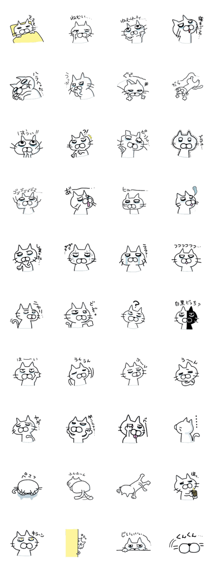 Cat with Dark Circles