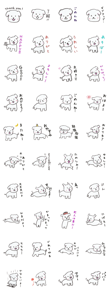 Japanese cute dog
