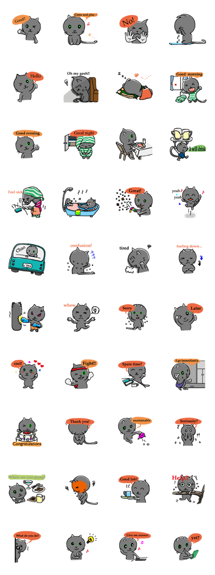 Gray cat ruru