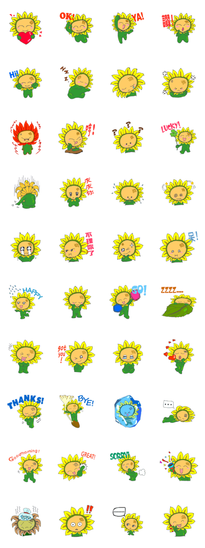 The Cute Sunflower