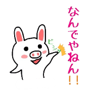 Half Rabbit (pig & Rabbit)
