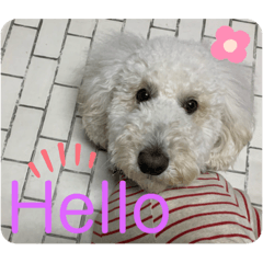 junko_20200208224344